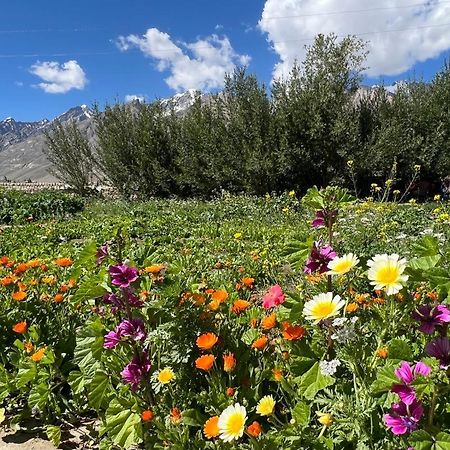 Guru View Home Stay Padam Kültér fotó